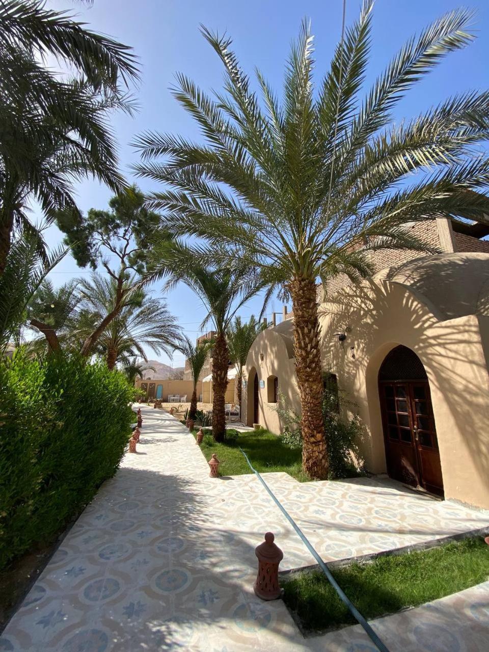 מלון לוקסור Sekhmet Retreat Centre מראה חיצוני תמונה