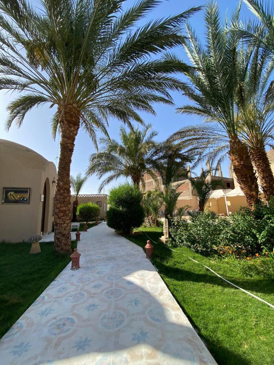 מלון לוקסור Sekhmet Retreat Centre מראה חיצוני תמונה